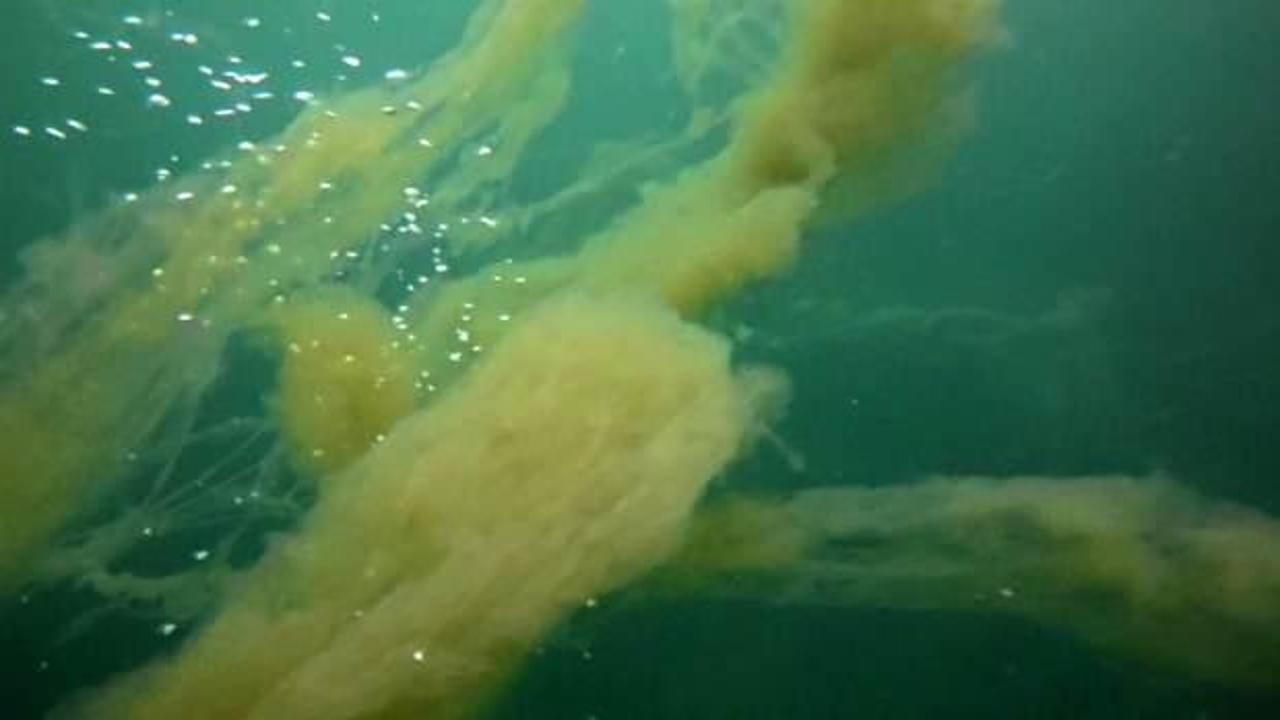 İzmit K&ouml;rfezi'nde korkutan m&uuml;silaj manzarası