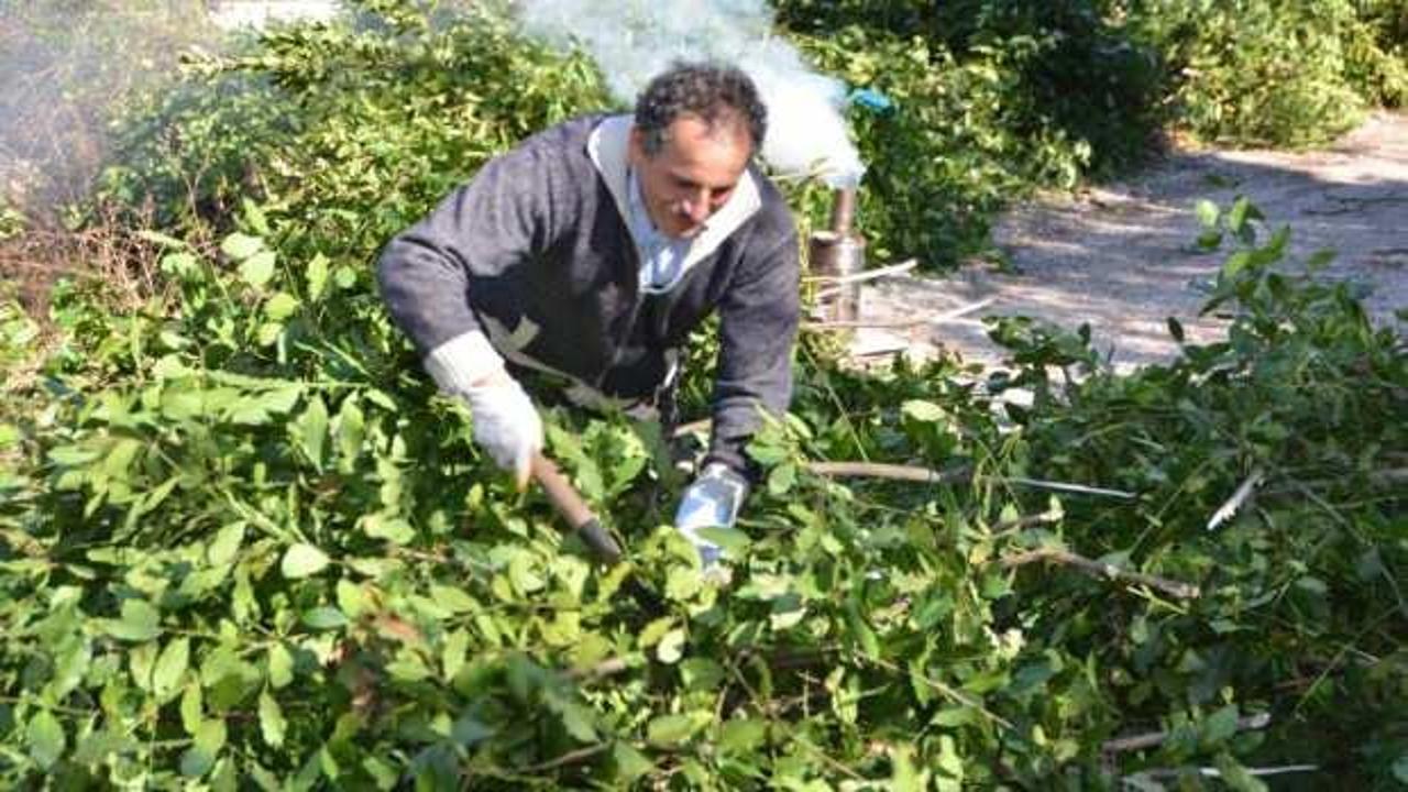 Antalya'dan t&uuml;m d&uuml;nyaya ihra&ccedil; ediliyor!