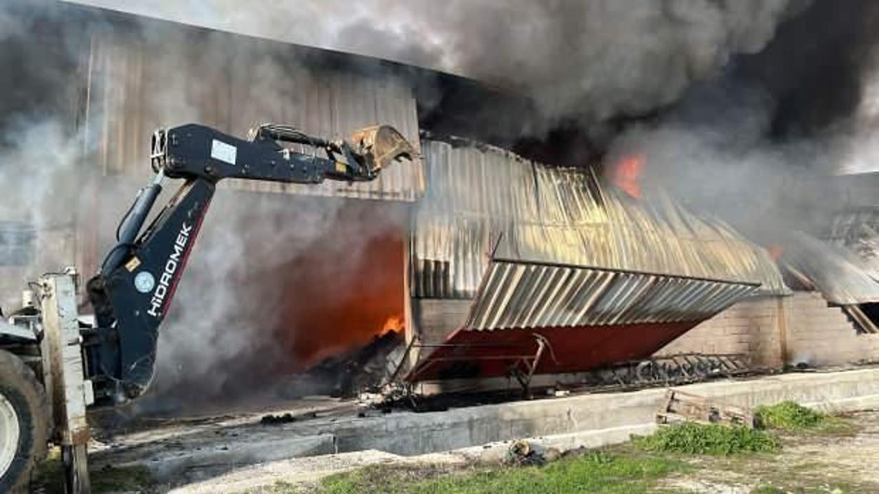 Aydın'da korkutan yangın! 