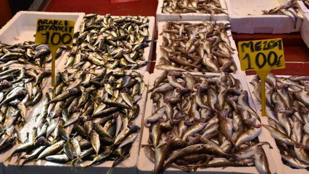 Balık&ccedil;ı tezgahlarında mezgit ve istavritin kilogramı 100 liradan satılıyor