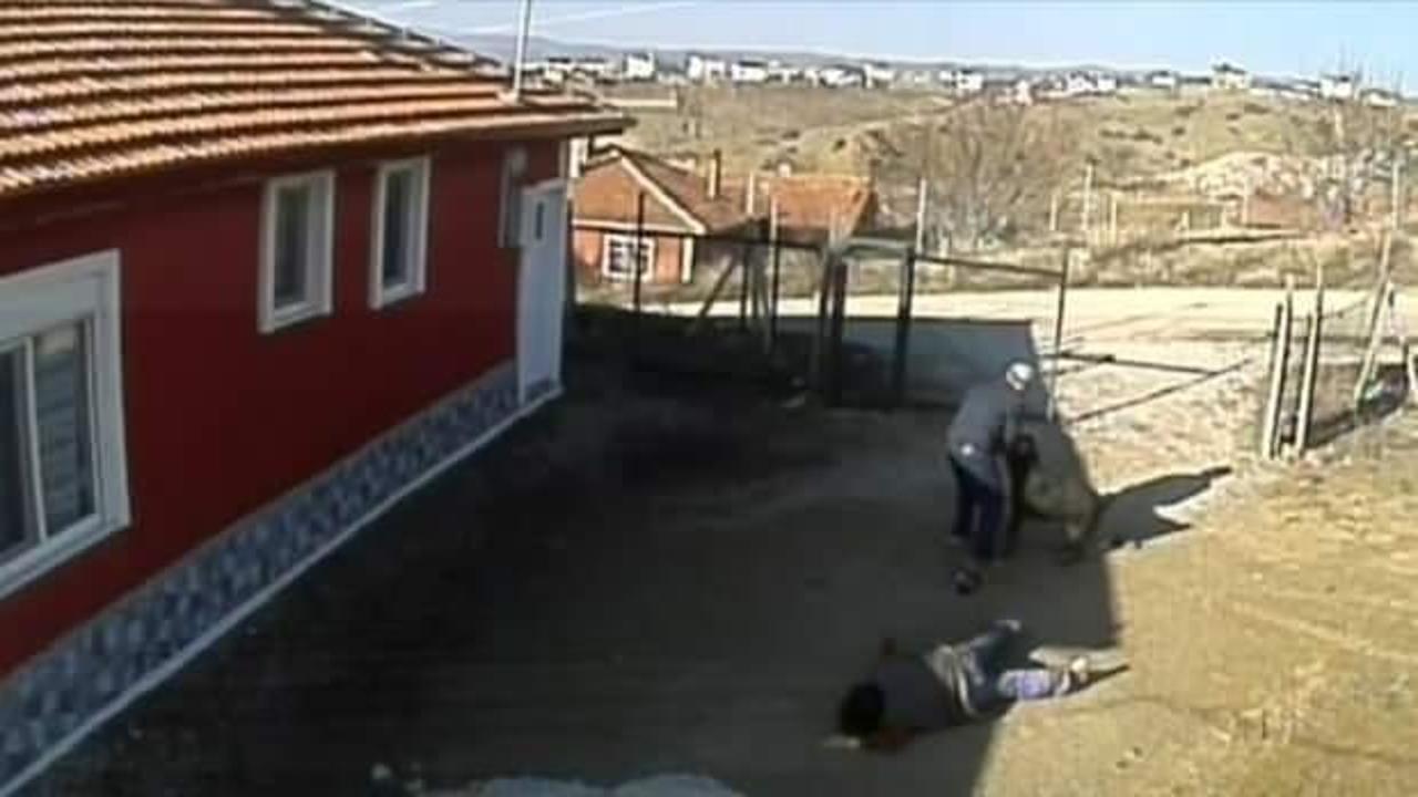 Rottweiler cinsi k&ouml;peğin dehşet veren saldırısı kamerada: 3 yaralı