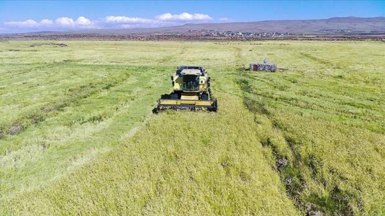 Tarım ve gıda &uuml;r&uuml;nleri ihracatında rekor kırıldı