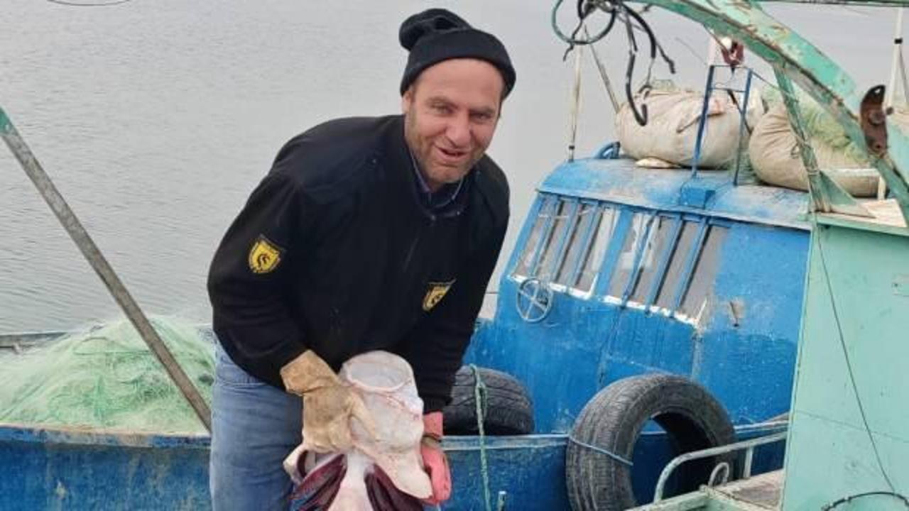 Tunceli'de balık&ccedil;ının ağına takıldı: Havyarı 2 milyon TL