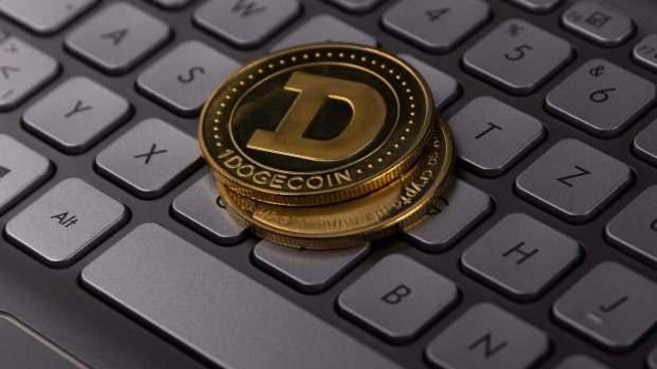 ABD'de, DOGE'ye "hassas verilere erişim izni" veren Hazine Bakanlığına dava açıldı