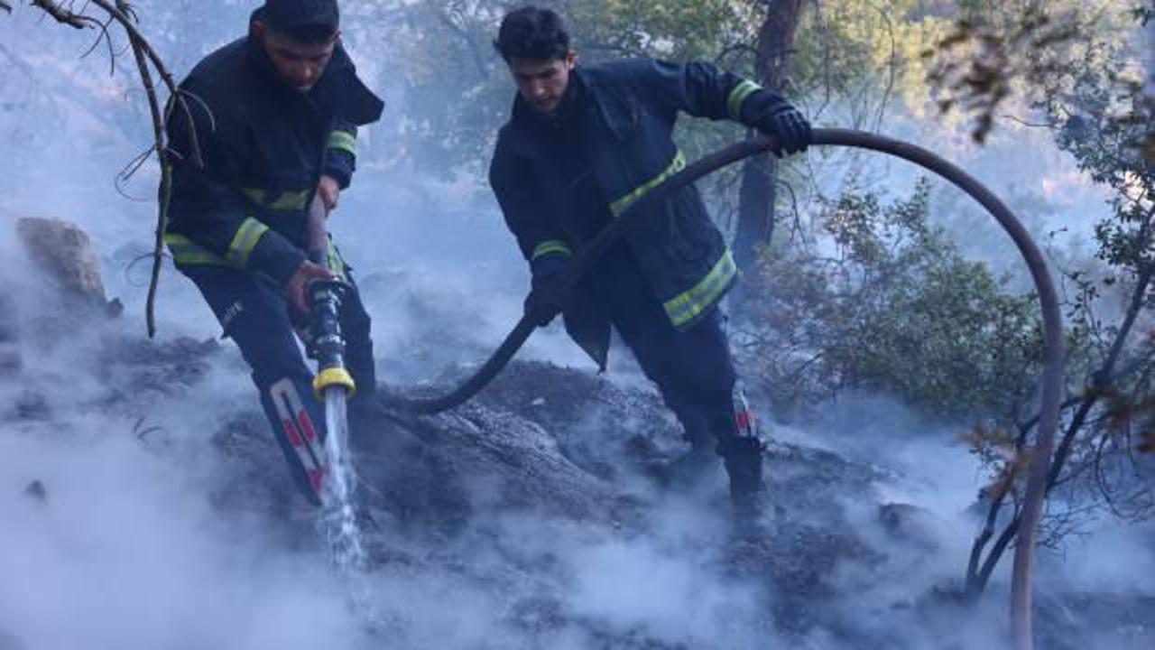 Antalya'da korkutan orman yangını: &Ccedil;ok sayıda ekip m&uuml;dahale ediyor!