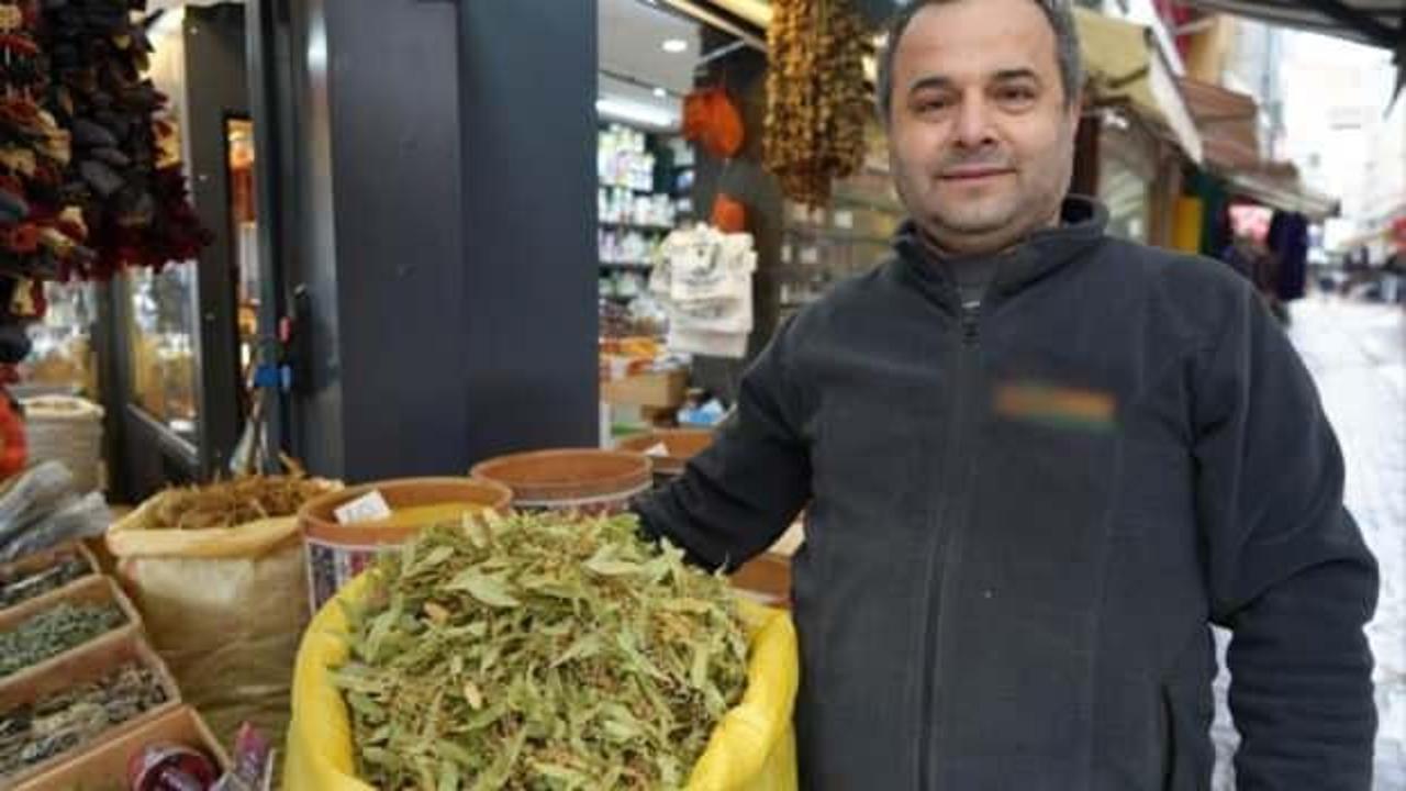 Ihlamurun fiyatı altınla yarışıyor