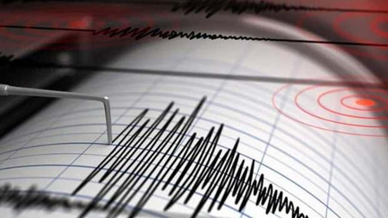Ege Denizi'nde iki dakika arayla 4,6 büyüklüğünde deprem