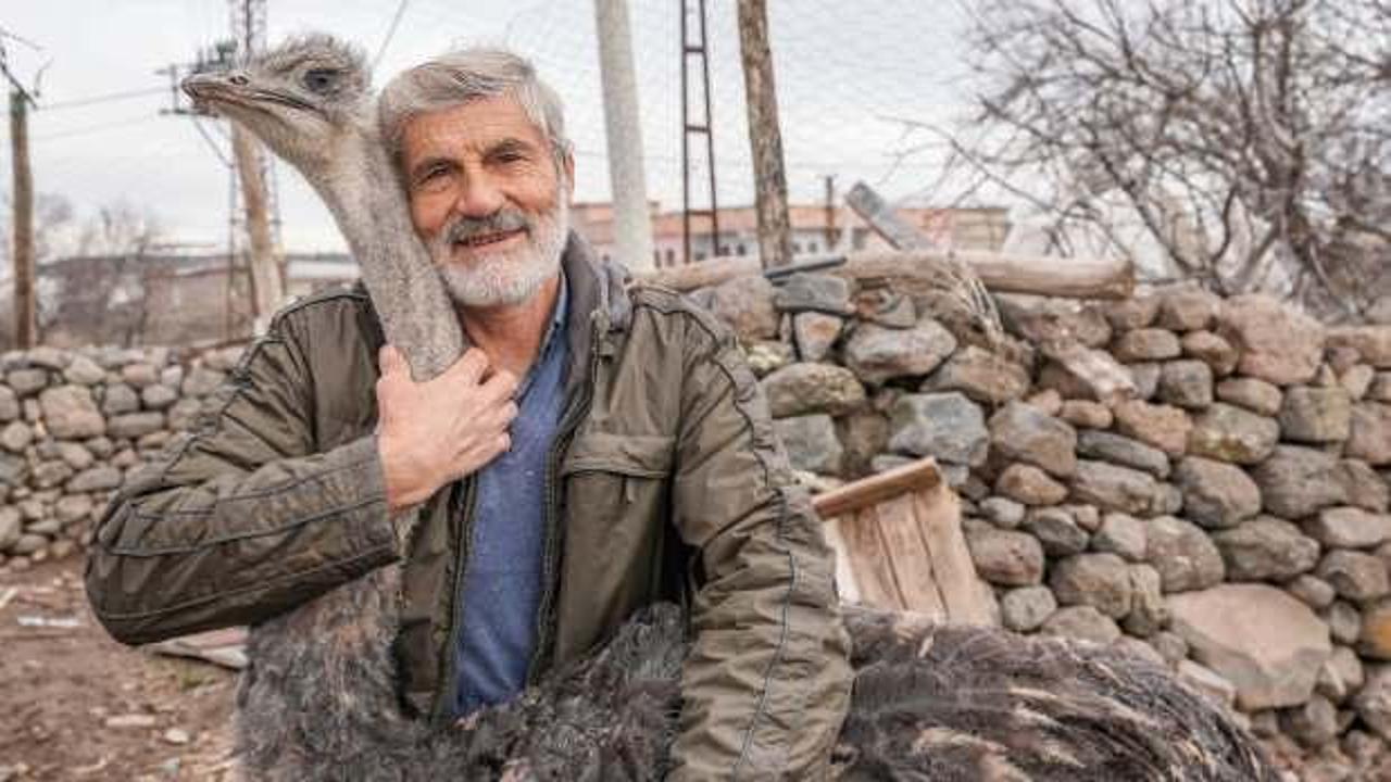 Firari deve kuşu vefalı &ccedil;ıktı