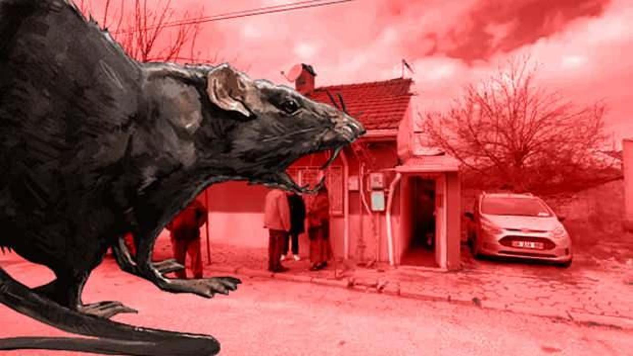 Korkun&ccedil; olay! 67 yaşındaki kayıp adamı fareler yedi!