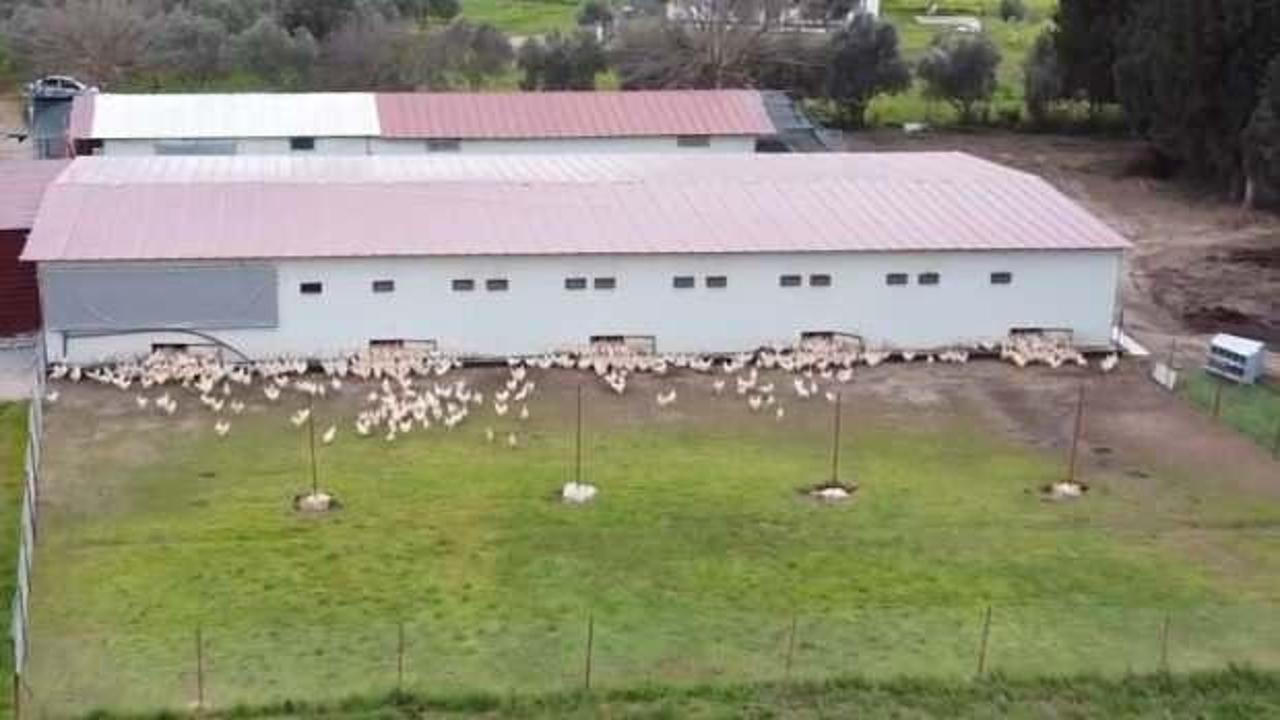 18 yaşında devlet desteği ile kurdu! Zincir marketlere satmaya başladı