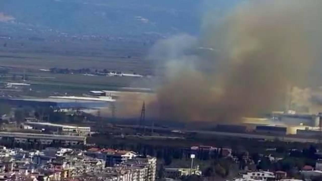 Aydın'da kağıt fabrikasında yangın