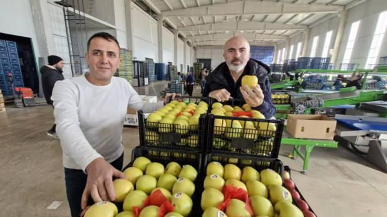 Elma fiyatını maliyetler y&uuml;kseltiyor!