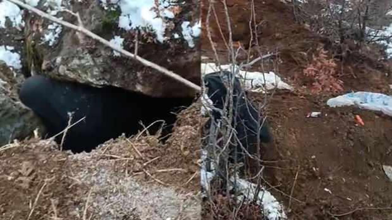 Kahramanmaraş'ta korkun&ccedil; &ouml;l&uuml;m: Kayanın altında kalarak can verdi!