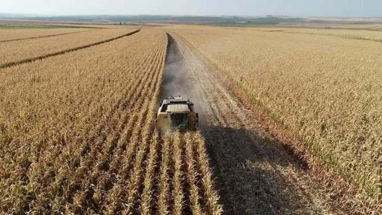 Tarımsal girdi fiyatları y&uuml;kseldi