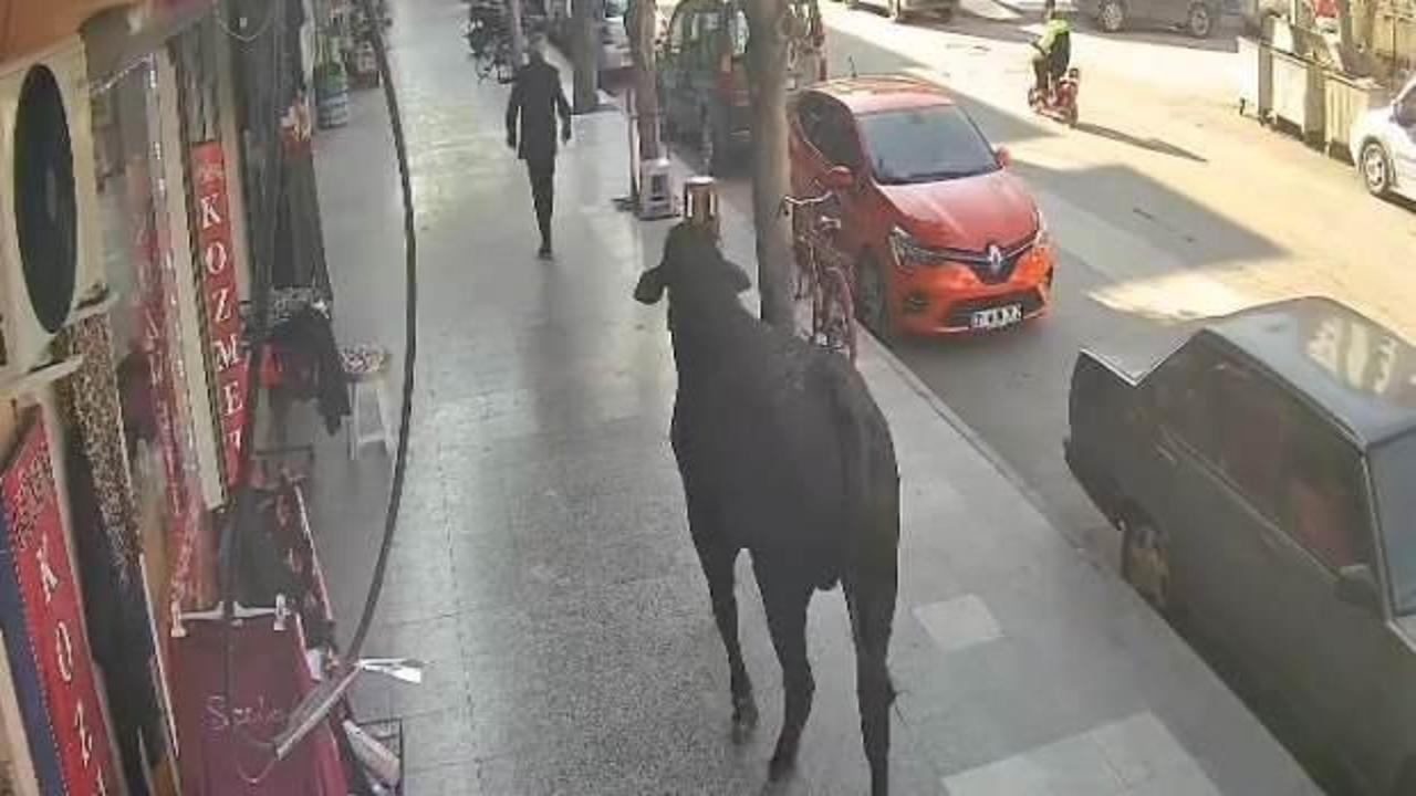 Yer: Hatay! Firari angus vatandaşa imtihan oldu 