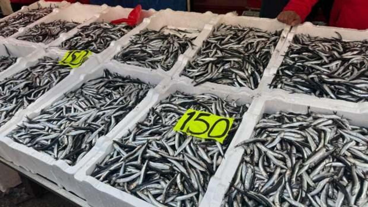 Fiyatı d&uuml;şt&uuml;, vatandaş yoğun ilgi g&ouml;sterdi!