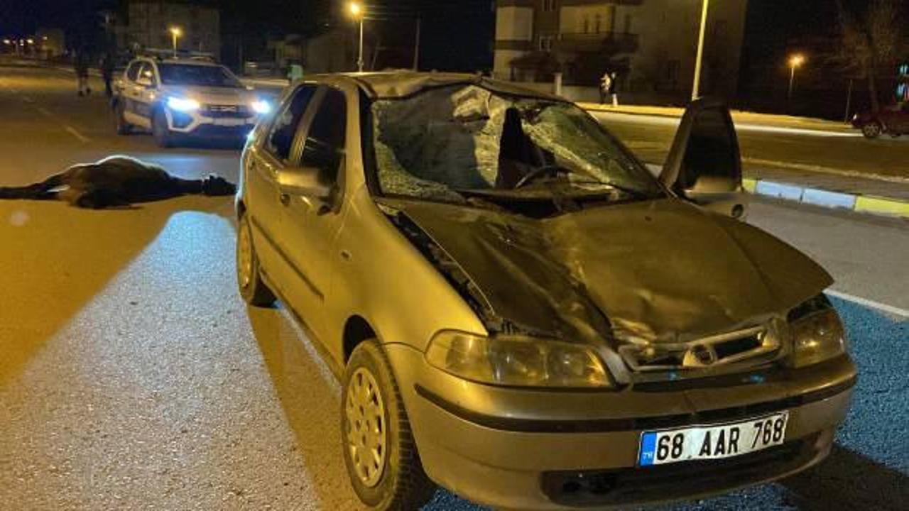 Aksaray'da akıl dışı kaza! S&uuml;r&uuml;c&uuml; yaralandı, at telef oldu