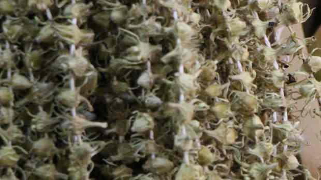 Fiyatı gram altını ge&ccedil;ti: Kilosu 3 bin 500 TL'den satılıyor