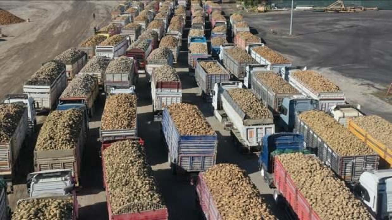 İklim değişikliği şeker &uuml;retimini olumsuz etkiledi