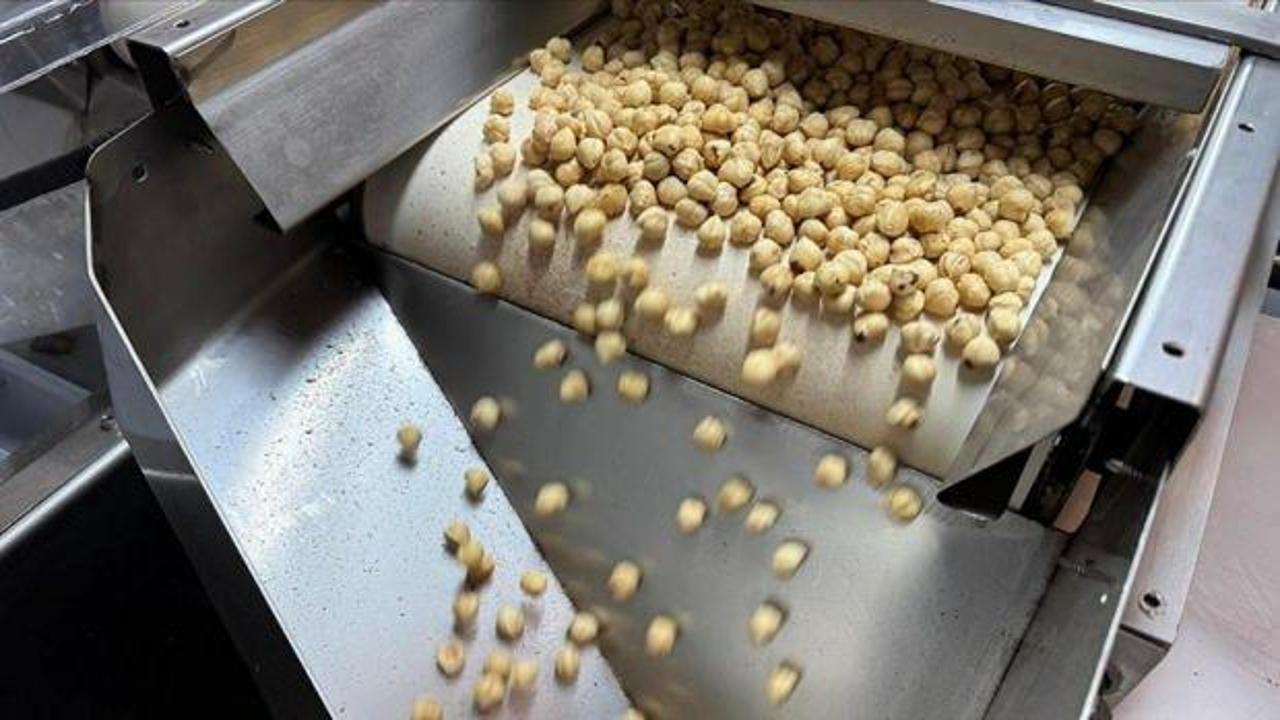 Ticaret borsalarında 6 ayda 479 bin tonu aşkın fındık işlem g&ouml;rd&uuml;