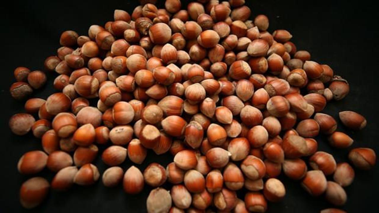 T&uuml;rkiye yılın ilk iki ayında fındık ihracatından 426 milyon doları aşkın gelir sağladı