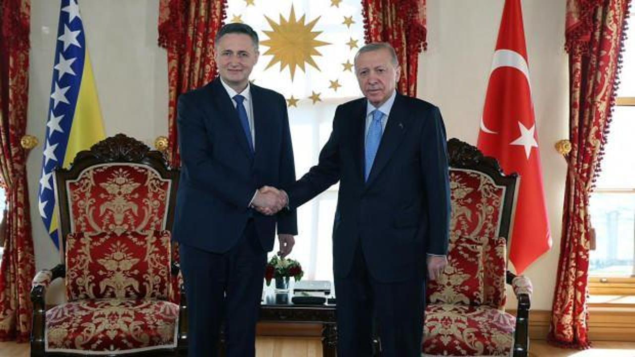 Başkan Erdoğan, Becirovic ile g&ouml;r&uuml;şt&uuml;