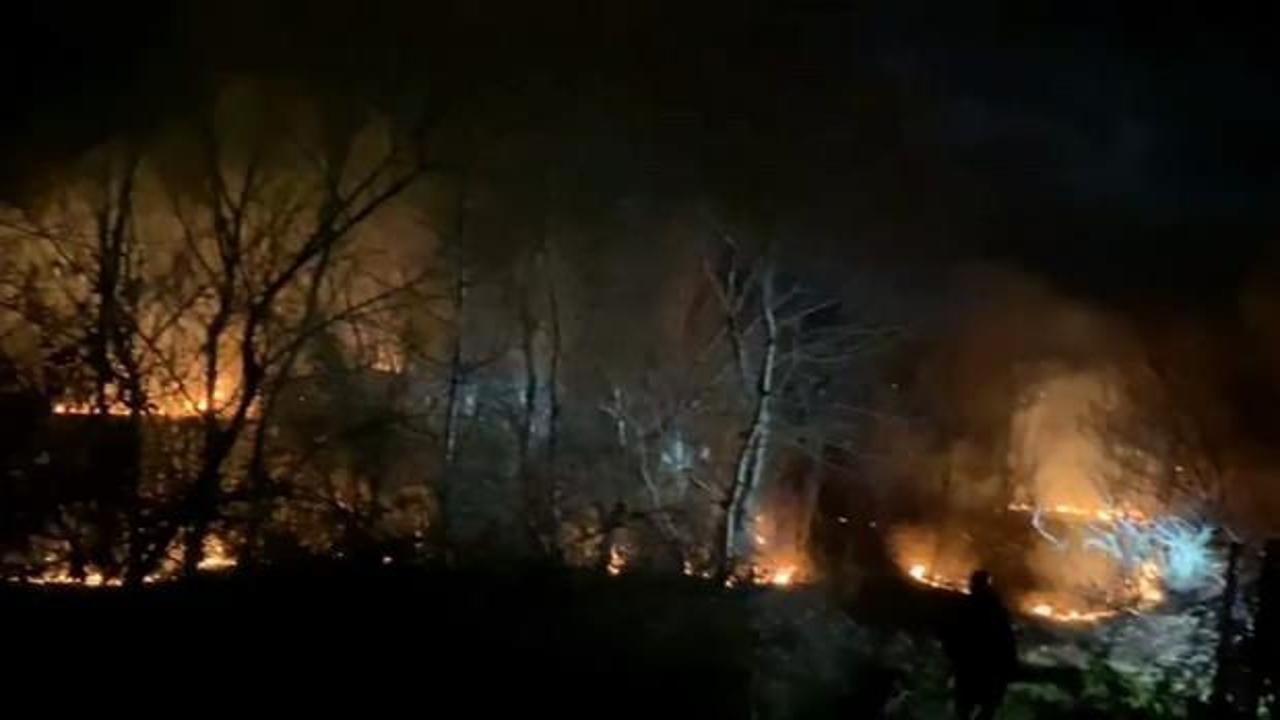 Bursa&rsquo;da orman yangını! 50 d&ouml;n&uuml;ml&uuml;k alan k&uuml;l oldu