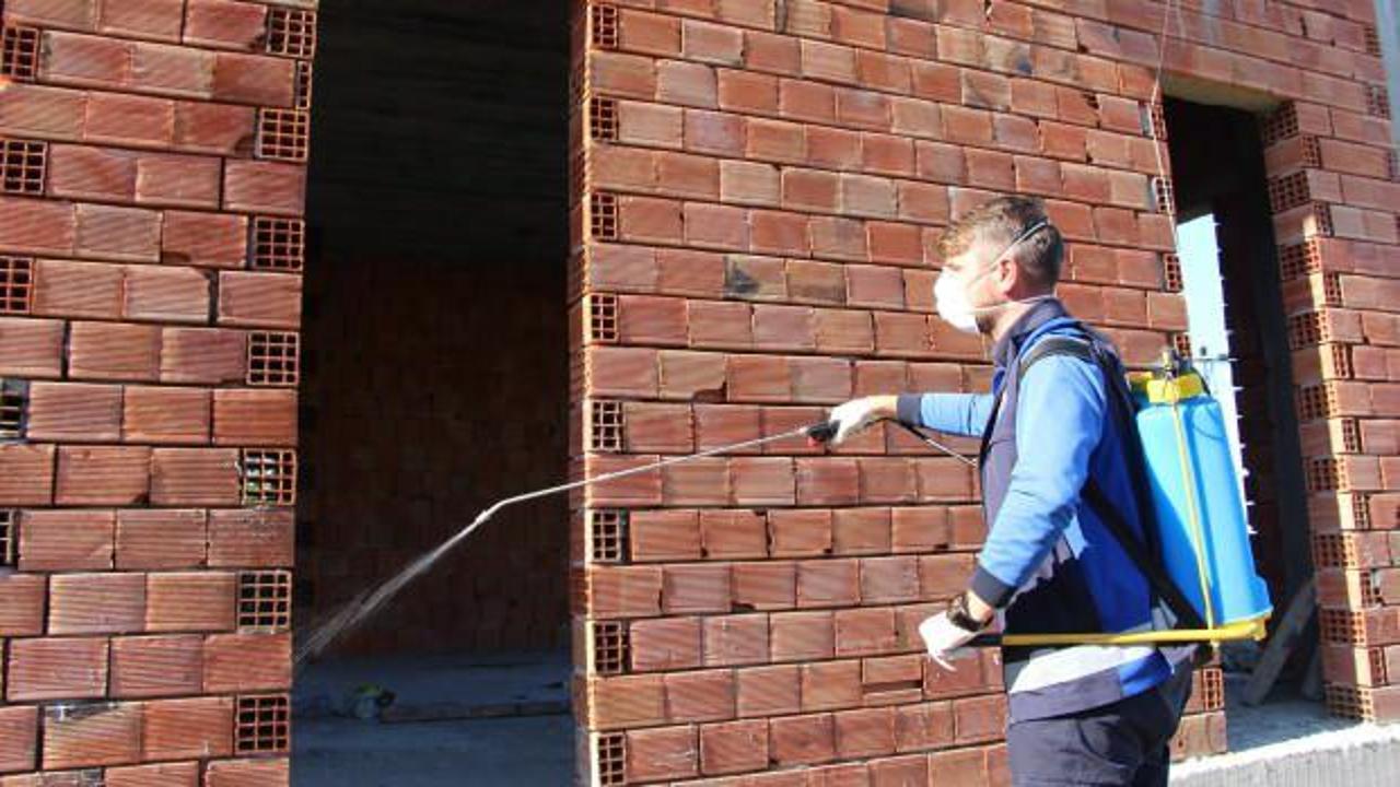 Hava sıcaklıkların artmasıyla ortaya &ccedil;ıktı: Vatandaşın korkulu r&uuml;yası geri d&ouml;nd&uuml; 