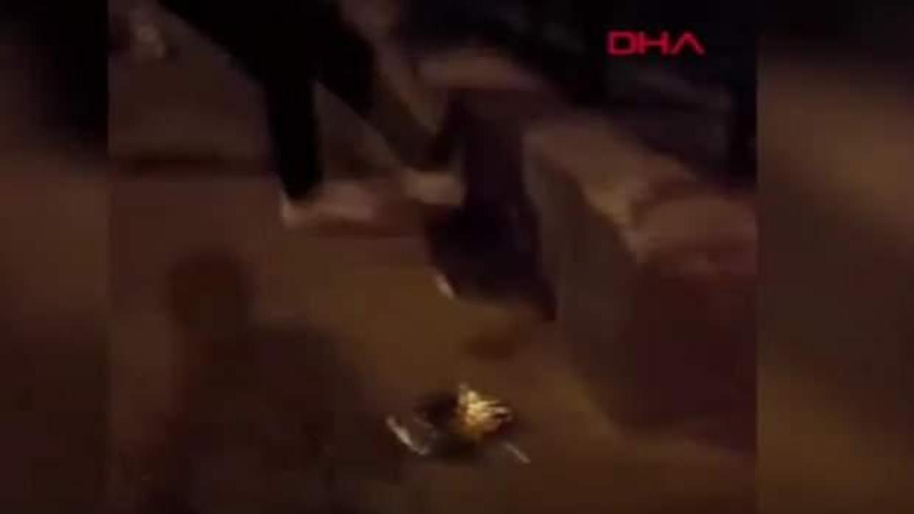 Isparta'da kediye tekme atan kişi tutuklandı