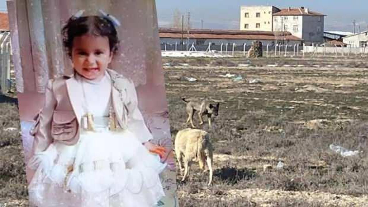 K&ouml;peklerin saldırısında &ouml;len 2 yaşındaki Rana &uuml;zerinden uydurulan &ccedil;irkin iddialara tepki