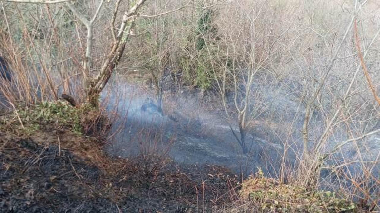  Temizlik amacıyla yakılan ateş ormanı k&uuml;le &ccedil;evirdi