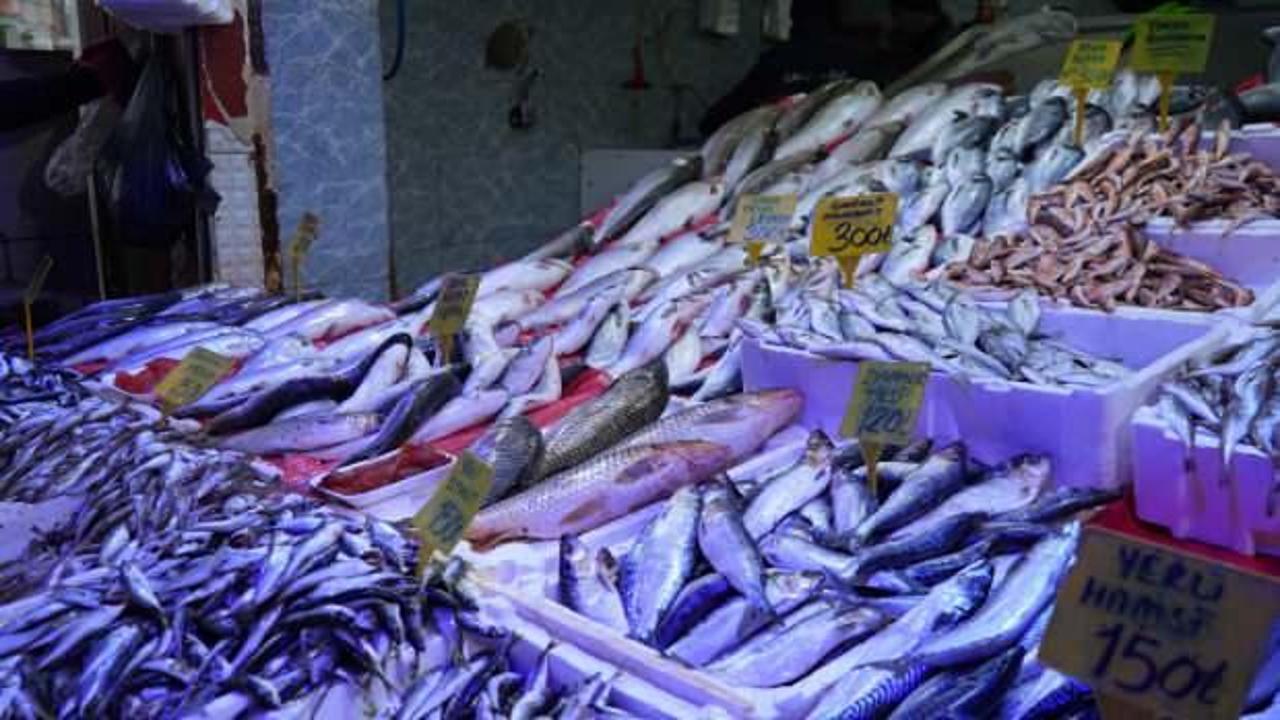 Balık&ccedil;ılar bolluktan memnun...