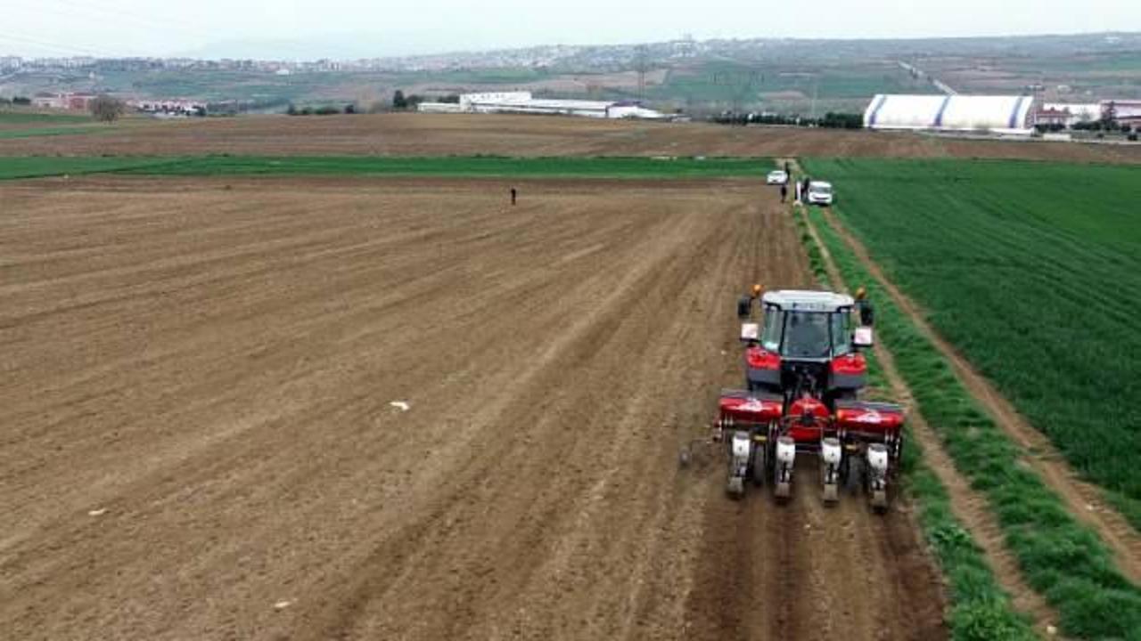 Tekirdağ'da ay&ccedil;i&ccedil;eği ekimi başladı: 400 bin ton rekolte bekleniyor