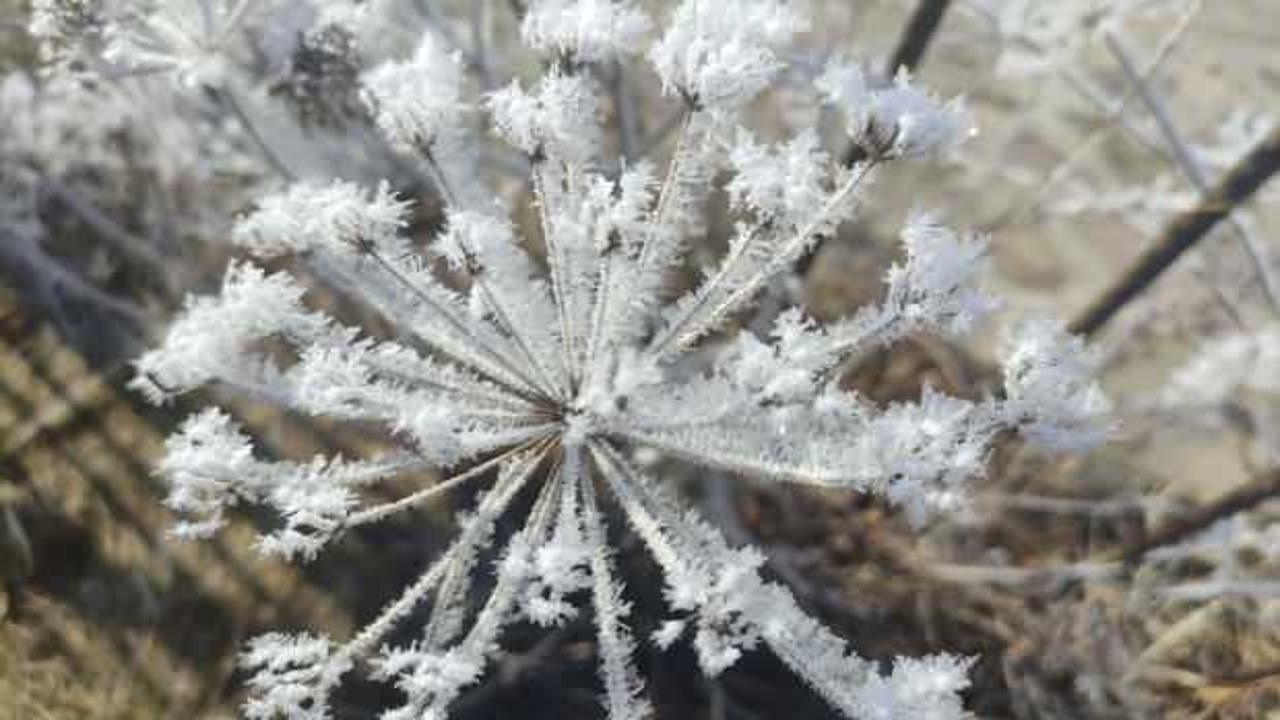 Türkiye'nin en soğuk yeri değişmedi!