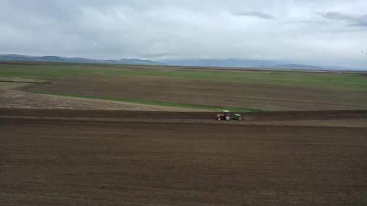 Ağrı'nın verimli ovasındaki tarlalarda ekim zamanı