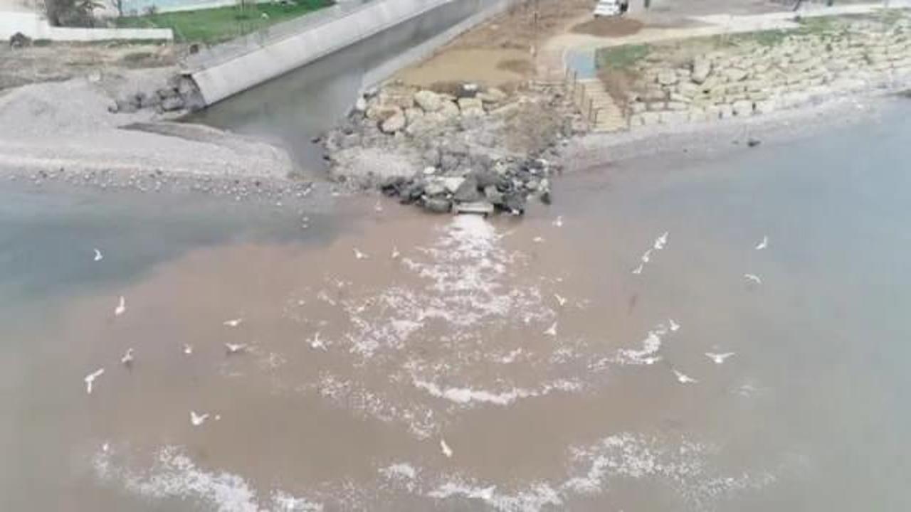 Atık sular Marmara Denizi'ne akıyor! CHP'li belediyede ses yok