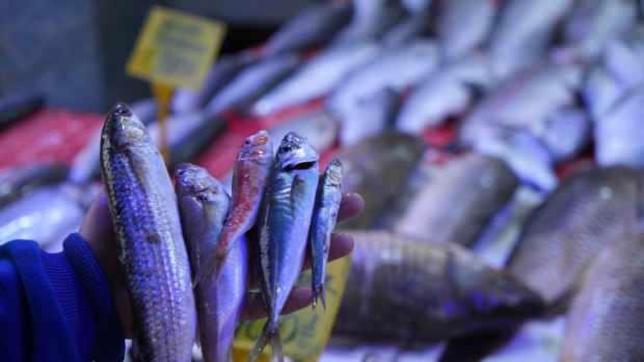 Sezonun son balıkları tezgahlarda!