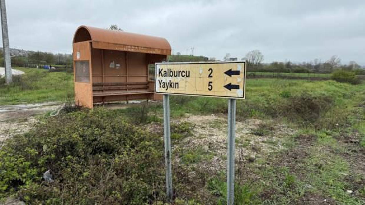 Bir ilde şap alarmı! 2 il&ccedil;ede g&ouml;r&uuml;ld&uuml;, ekipler harekete ge&ccedil;ti!