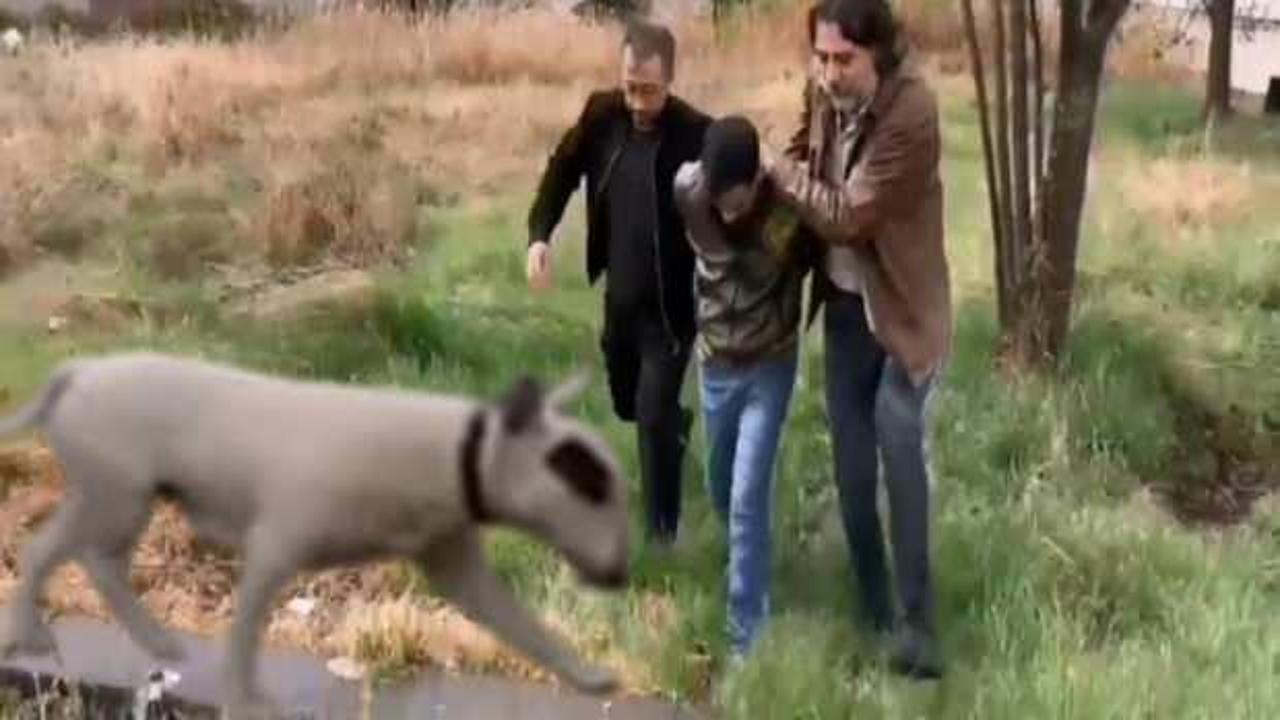 430 bin lira değerindeki k&ouml;peği &ccedil;alan hırsız yakalandı