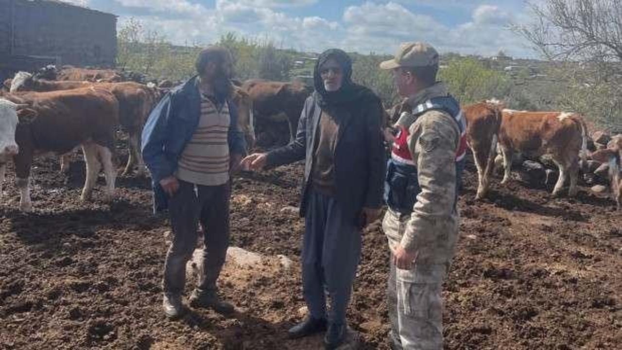 Akıllara durgunluk veren hırsızlık! Akşam bıraktığı büyükbaşlar sabah yoktu 