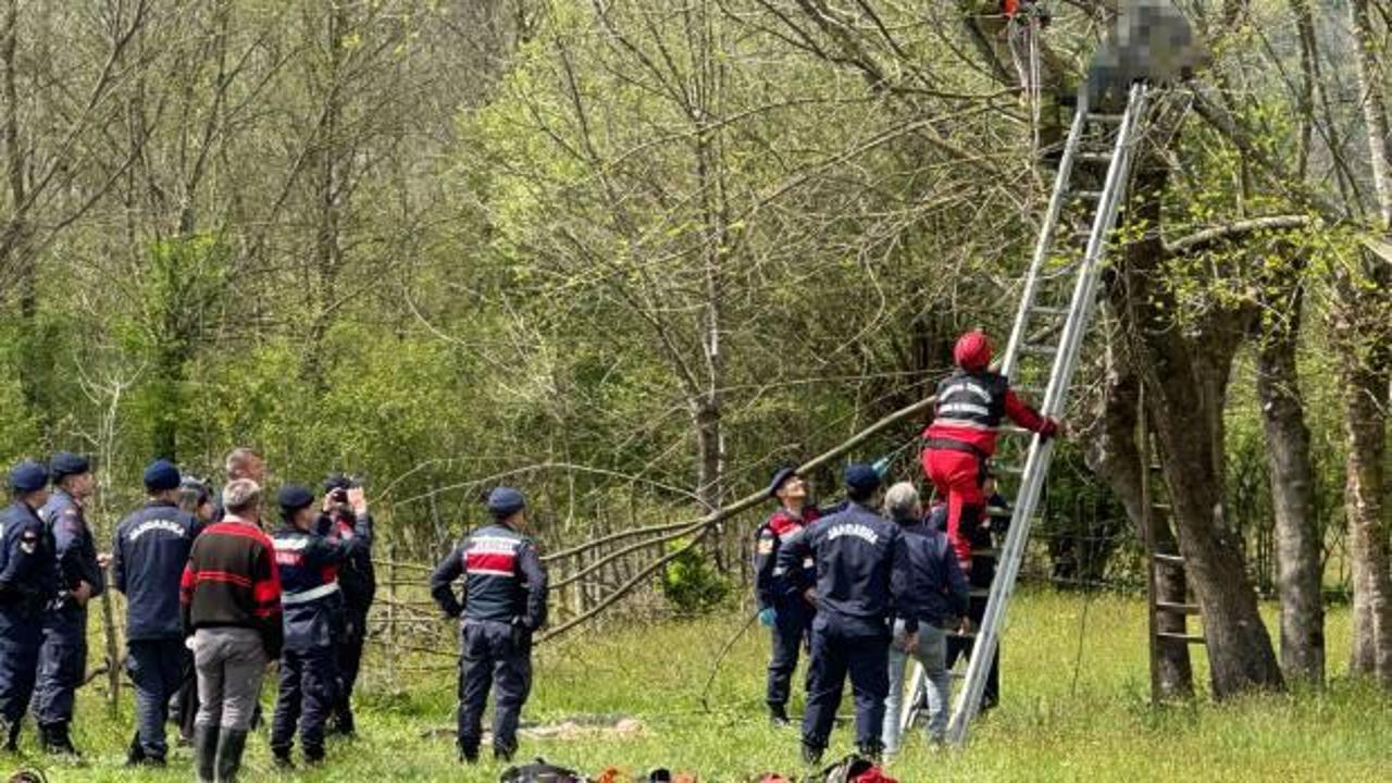 Budama yapacaktı: 69 yaşındaki adam &ccedil;ıktığı ağa&ccedil;ta can verdi!