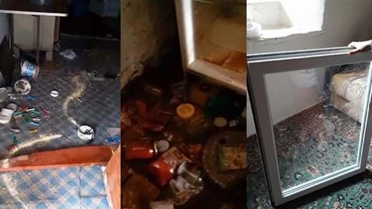 K&ouml;y evine giren ayı, vatandaştan zılgıtı yedi! Komik sitem kamerada