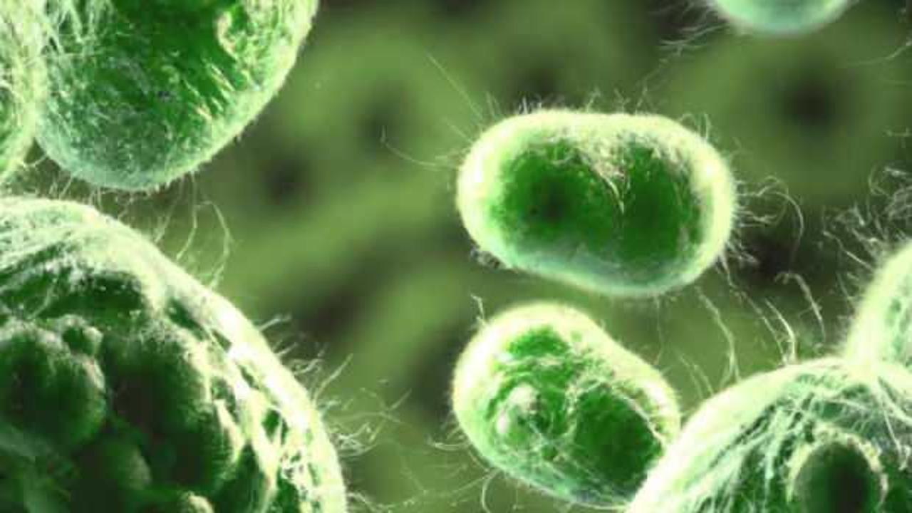  K&uuml;resel sağlık tehdidi ilan edildi! &Ouml;l&uuml;mc&uuml;l &lsquo;s&uuml;per bakteri&rsquo; alarmı!