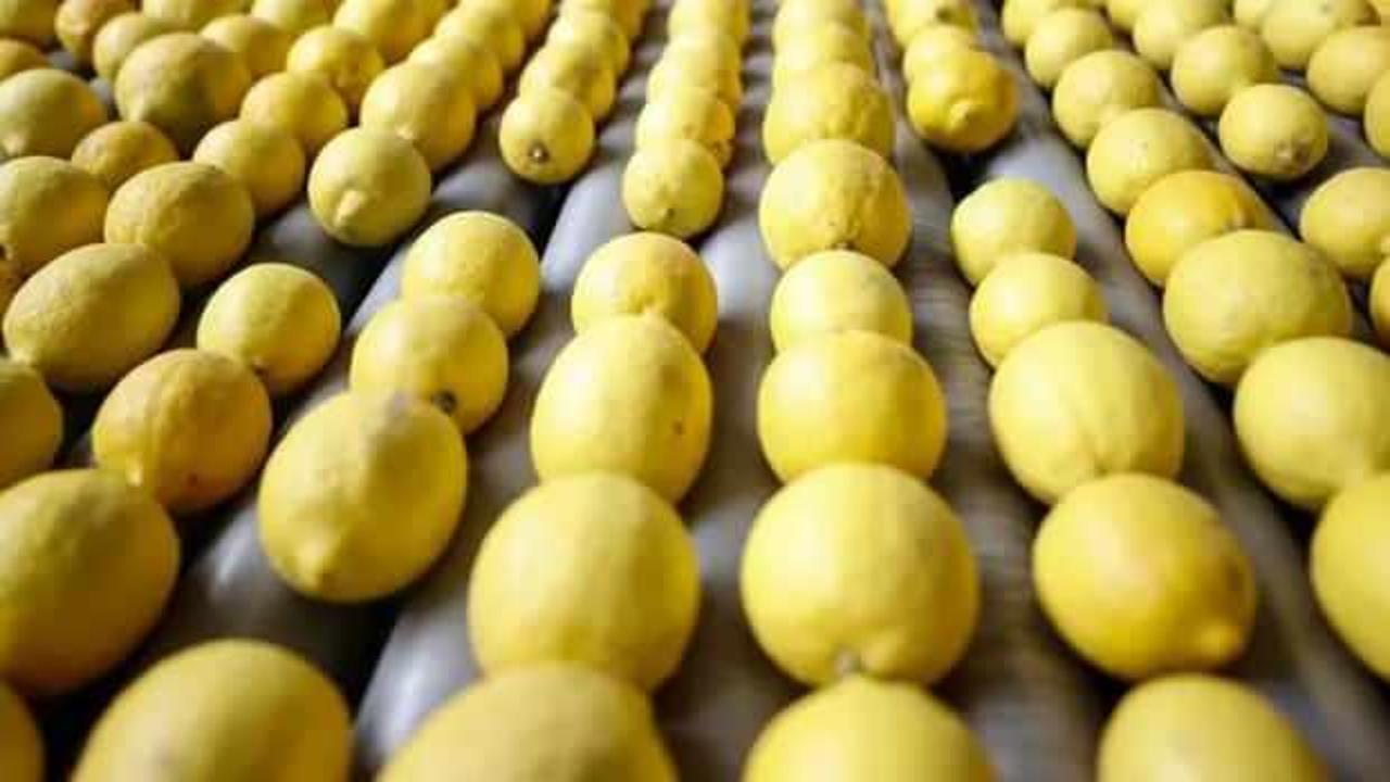 Limon ihracatının durdurulması kararı bir gün sonra kaldırıldı