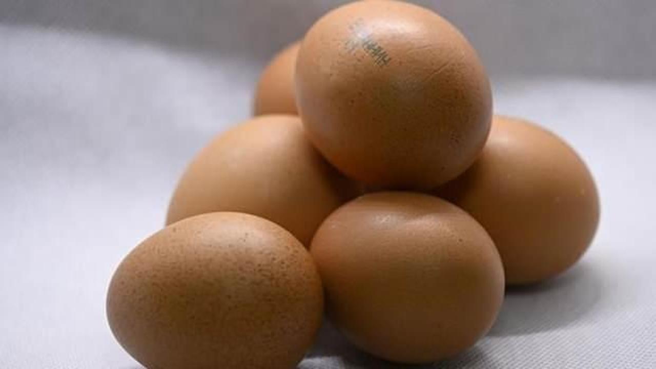 Yumurtaya 'ABD zammı' gelir mi? Üreticilerden açıklama