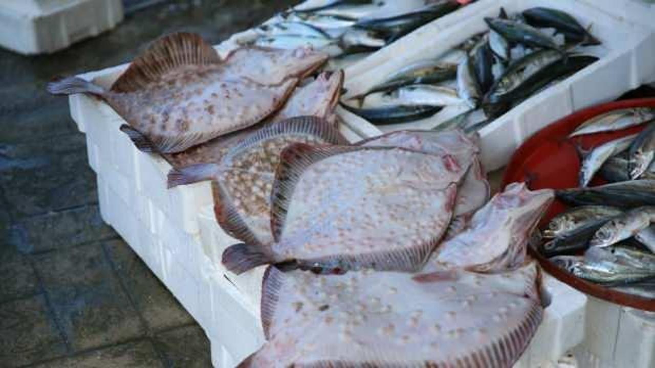 Ordu'daki balık tezgahlarında kalkan bereketi