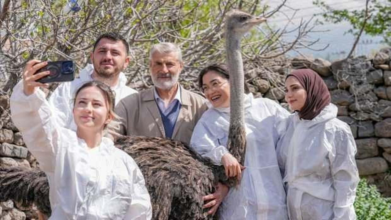 Vefalı 'Hüdhüd' depresyonda! Tek çaresi evlenmek 