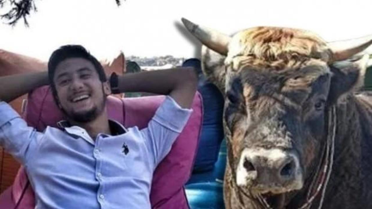 Aydın'da güreş boğası can aldı!