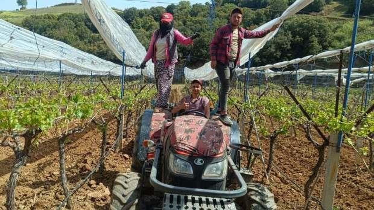 Don olaylarına karşı kurduğu sistem ile yüzü gülen çiftçi: 'Bağımda zarar yok' 