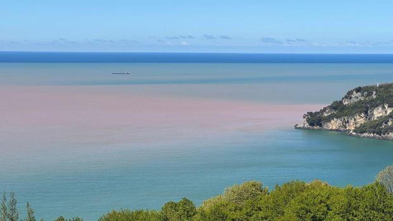 Bartın&rsquo;da tedirgin eden g&ouml;r&uuml;nt&uuml;! Deniz &ccedil;amur gibi oldu